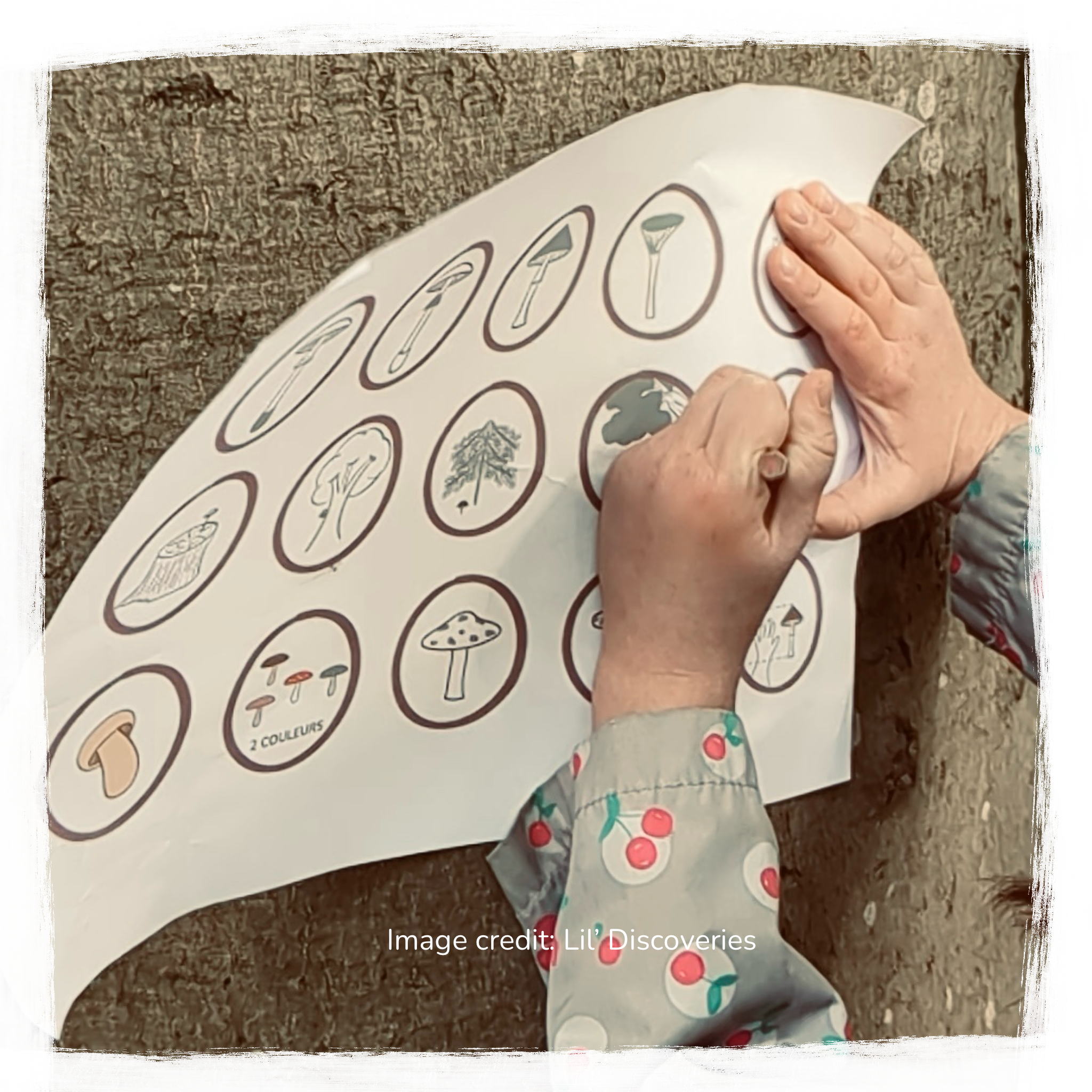 child ticking off a nature treasure map