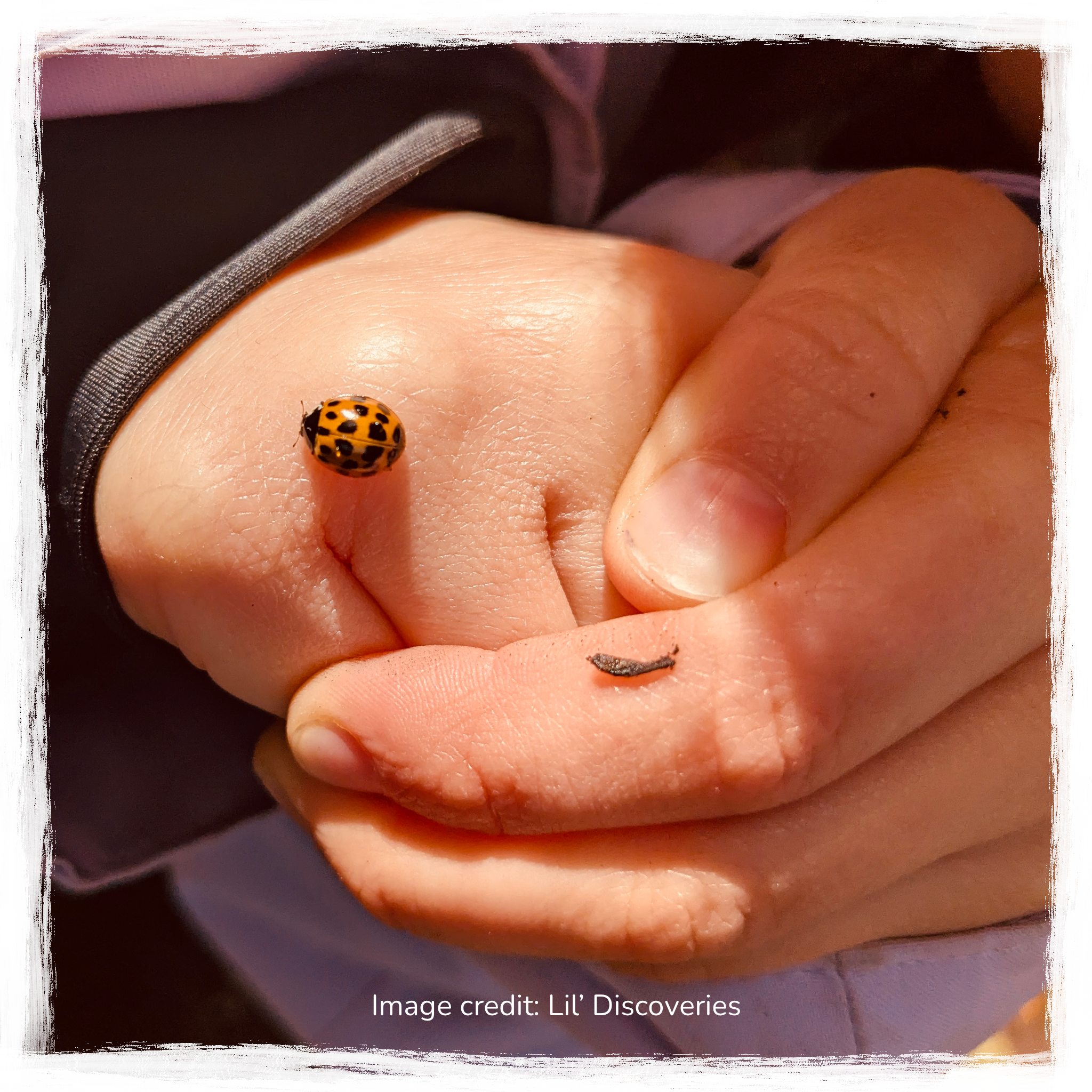 Child with ladybug